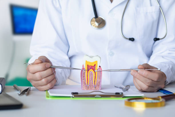 Best Emergency Broken Tooth Repair in Linden, TN